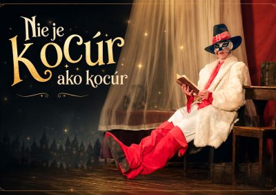Nie je kocúr ako kocúr (2006)